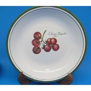 Williams-Sonoma Heirloom Tomatoes 9 3/8” Soup Pasta Bowl Cherry Tomato